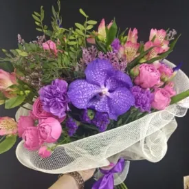 Прайст от 5000