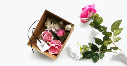 Сотрудничество с организациями