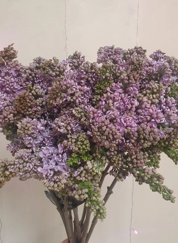 Сирень ветка от интернет-магазина цветов в 