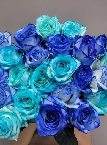 Роза синяя ( бирюзовая) 1 штука от интернет-магазина цветов в 