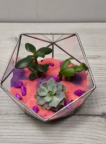 Флорариум ,,Суккуленты" от интернет-магазина цветов в 
