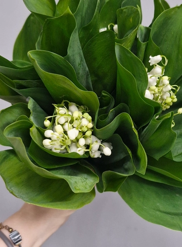 Ландыш апрельский(букетик) от интернет-магазина цветов в 