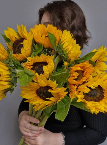 Подсолнух (гелиантус) от интернет-магазина цветов в 