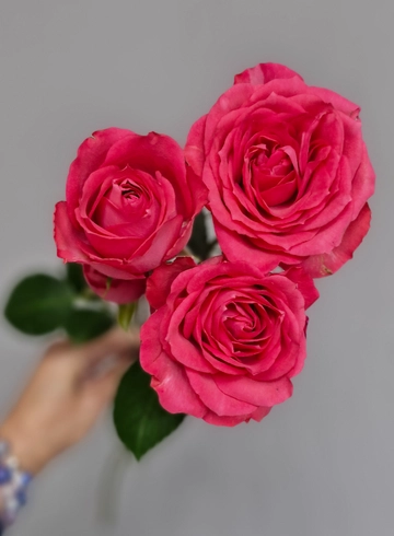 Кустовая роза Белинда от интернет-магазина цветов в 