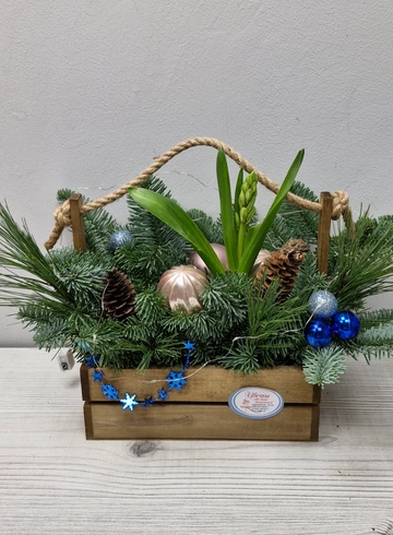 Новогодняя композиция &laquo;В кедровом ящичке с гиацинтом и гирляндой&raquo; от интернет-магазина цветов в 