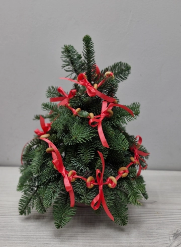 Елка из нобилиса ,,А ля рус,,  от интернет-магазина цветов в 