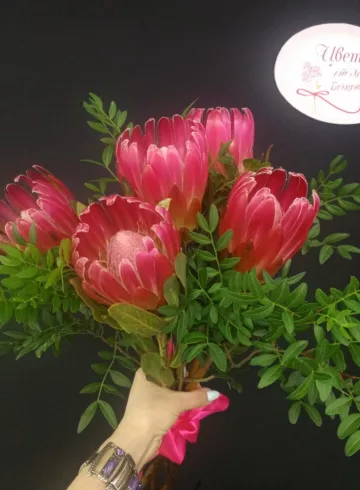 Букет из протей от интернет-магазина цветов в 