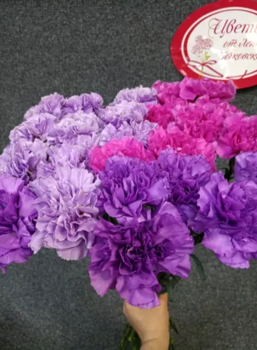 Диантус от интернет-магазина цветов в 