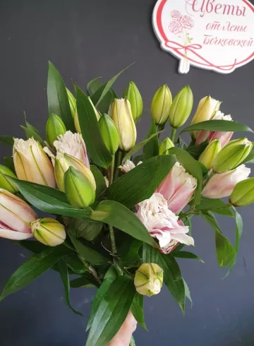 Лилия Пионовидная от интернет-магазина цветов в 