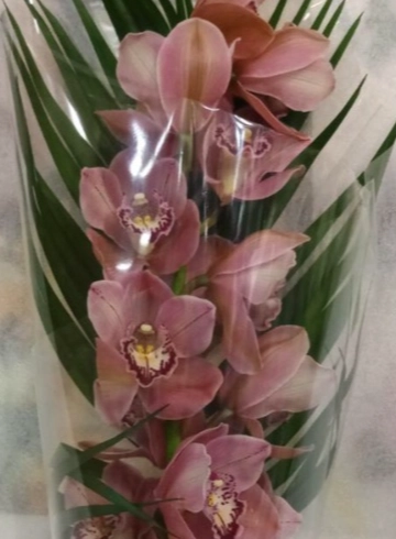 Орхидея от интернет-магазина цветов в 