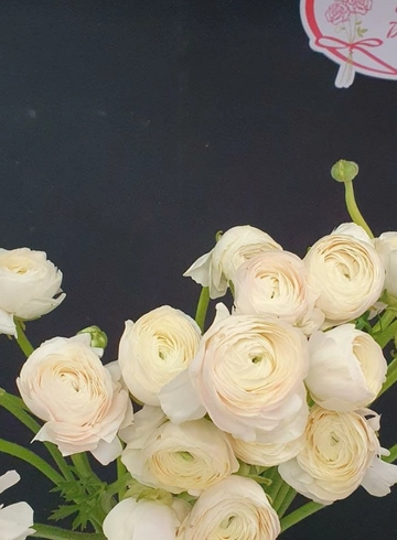 Ранункулюс белый от интернет-магазина цветов в 