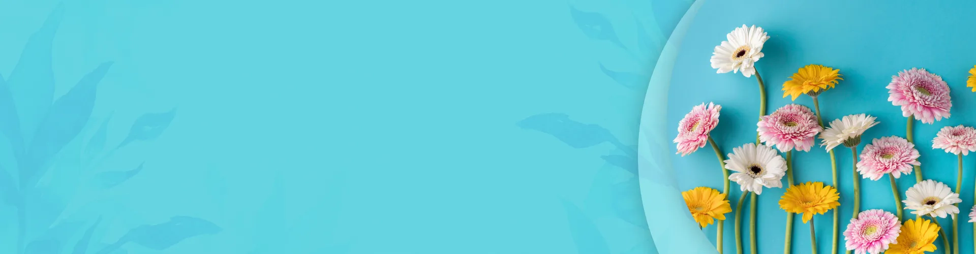 Яндекс сплит